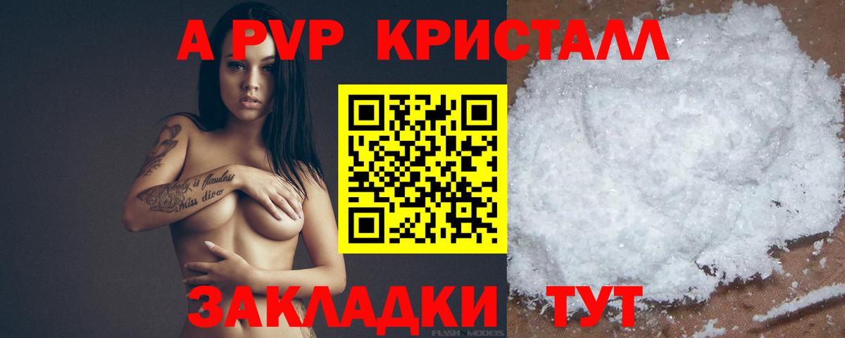 Alfa_PVP СК Ейск