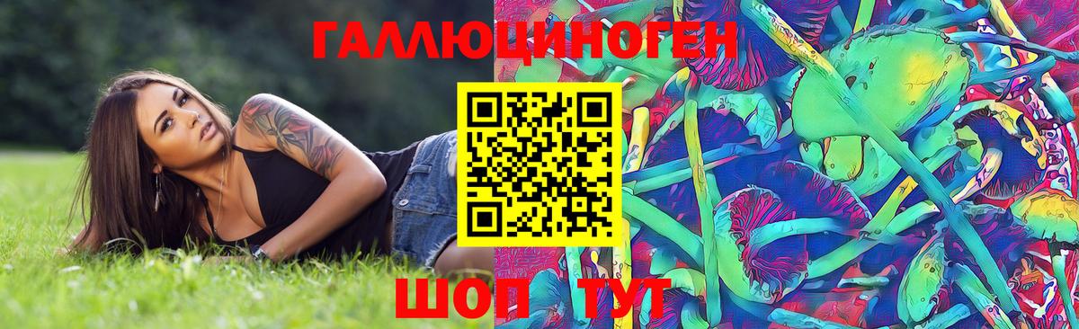 Ейск  Псилоцибиновые грибы Psilocybe  Вход с VPN 